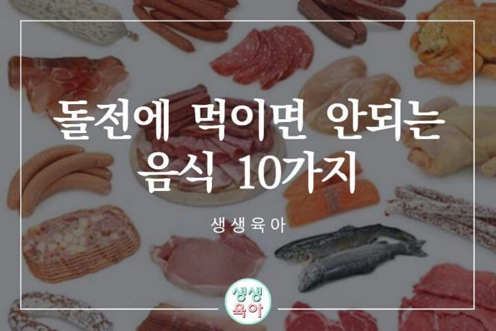 돌전에 먹이면 안되는 음식 10가지 | 인스티즈