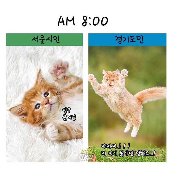 서울시민 vs 경기도민 | 인스티즈