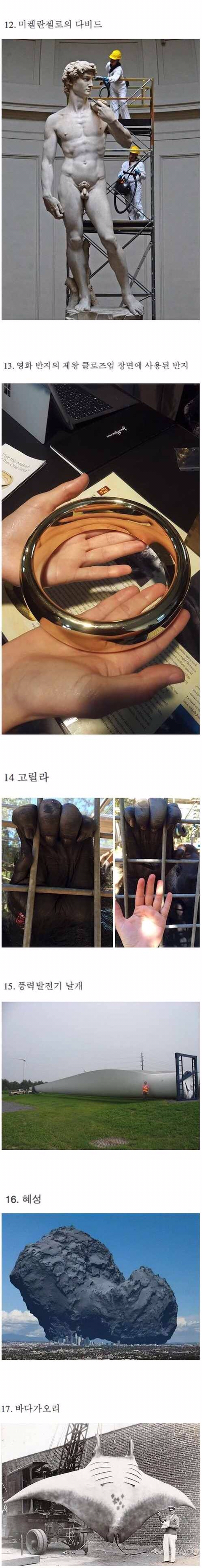 생각보다 거대한 것들.jpg | 인스티즈