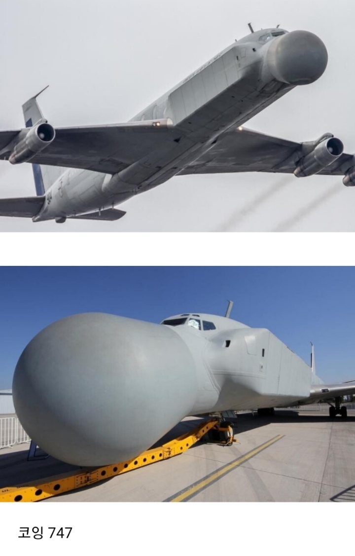 코가 대단한 비행기.jpg | 인스티즈