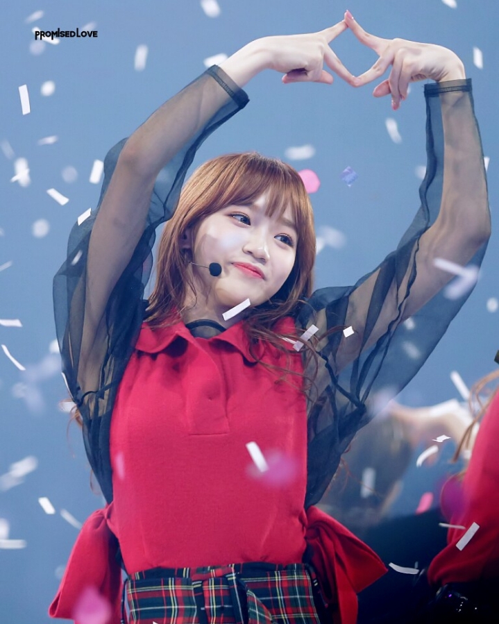 채원이 보고가세여 | 인스티즈