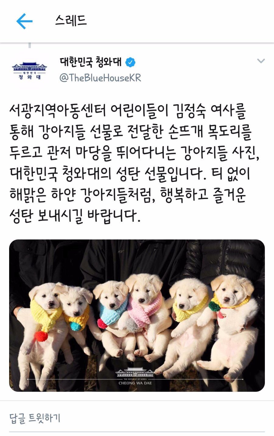 목도리 선물받은 청와대 강아지들 | 인스티즈