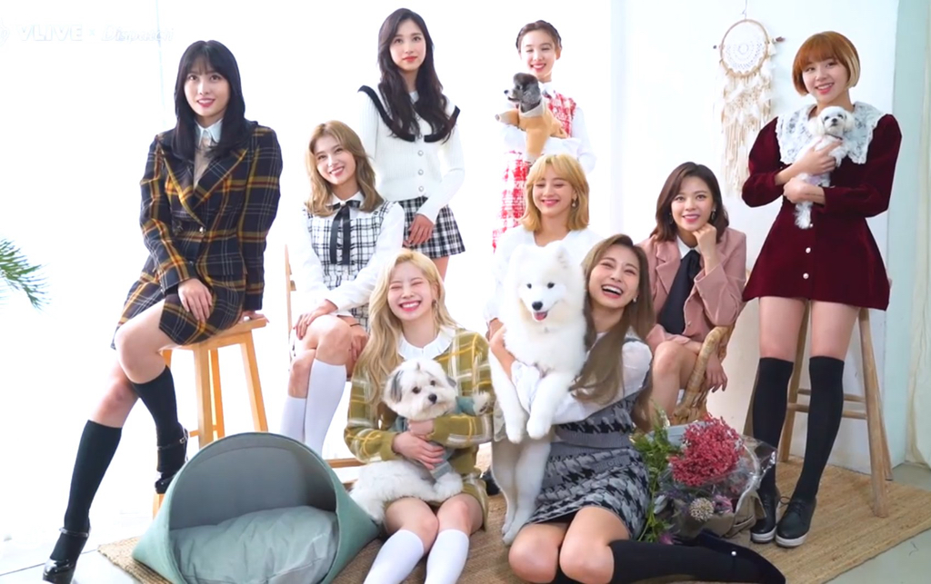 트와이스 일본 트윗 - TWICE LIVE DVD &amp; Blu-ray 『TWICE DOME TOUR 2019"#Dreamday” in TOKYO DOME』예고편 | 인스티즈