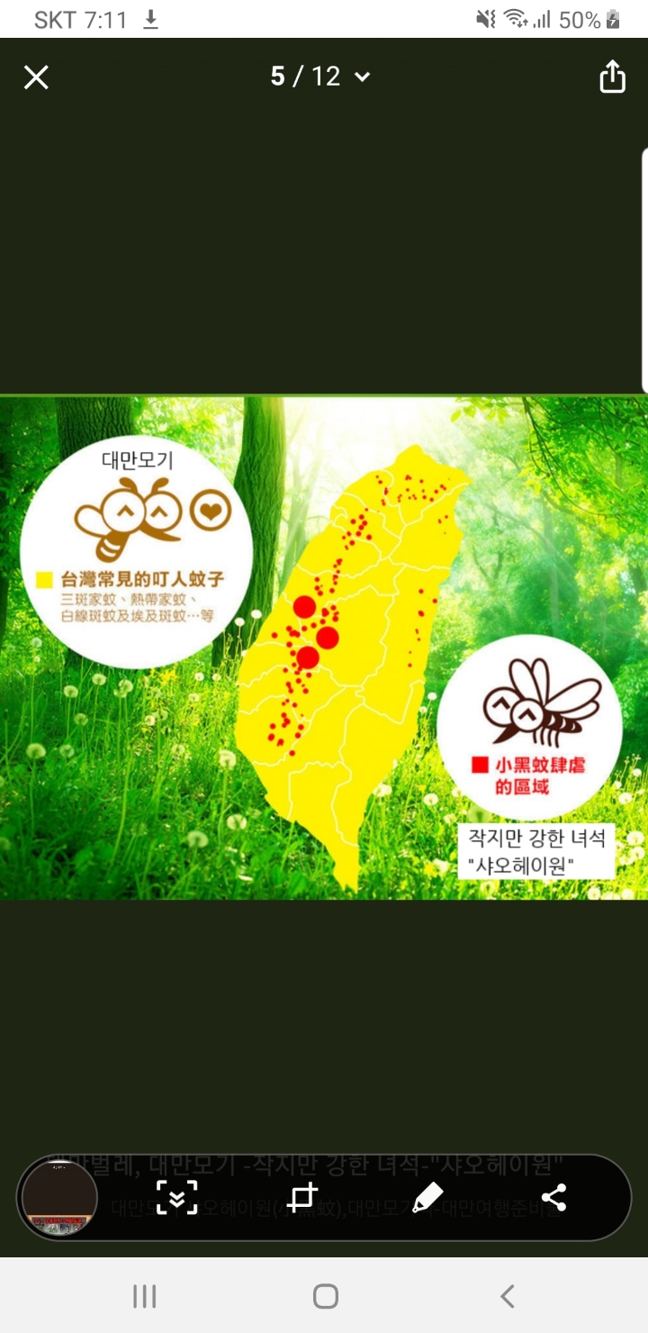 대만 여행에서 주의해야할 대만모기 샌드플라이(샤오헤이원) | 인스티즈