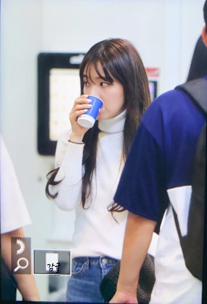 우연히(?) 다미아니 CEO와 사진찍고 파리로 이동한 레드벨벳 아이린 | 인스티즈