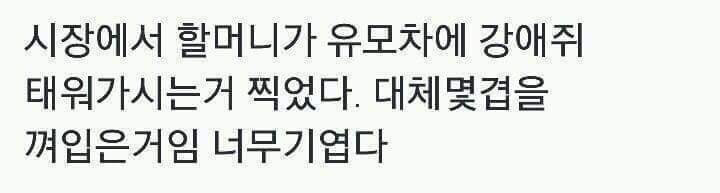 추운 날 할머니의 강아지 패션 코디 | 인스티즈