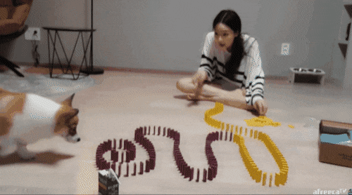 아프리카 방송사고 | 인스티즈