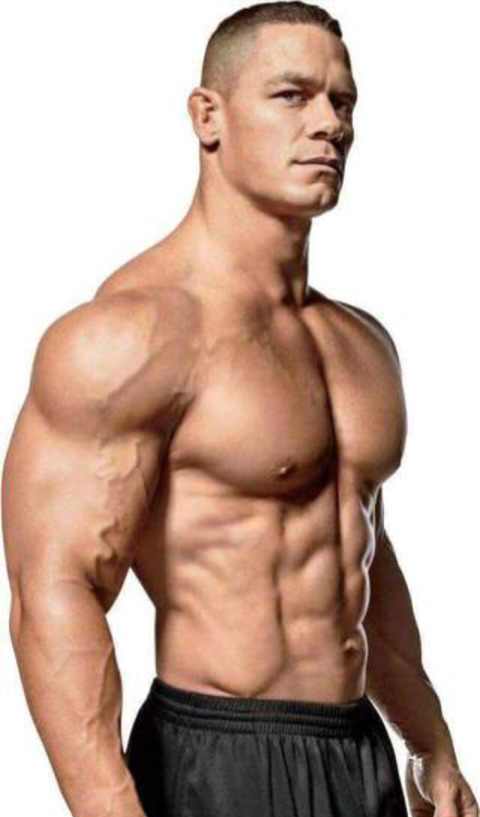 본인들이 더 가지고싶은 몸은? (남자) | 인스티즈