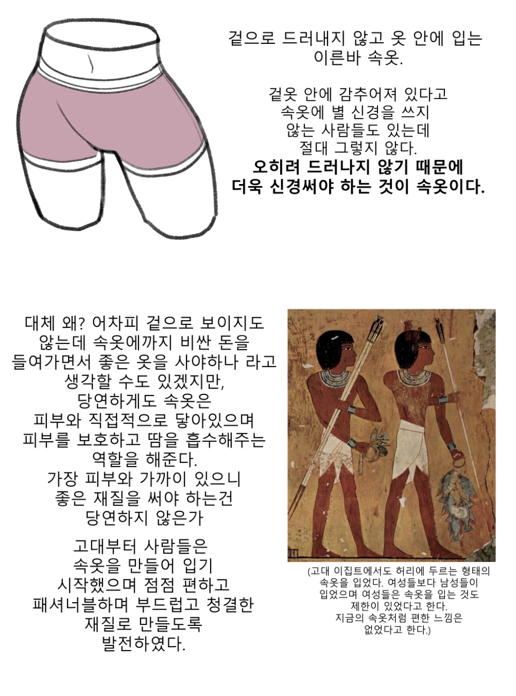 속옷에 대해 알아보는 만화.jpg | 인스티즈