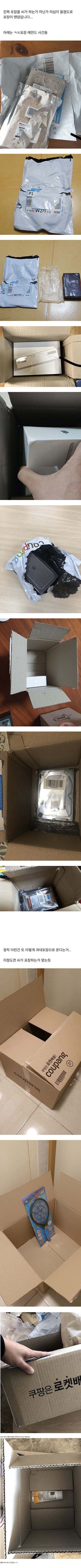 AI가 포장하는거 아니냐는 쿠팡 포장 레전드.jpg | 인스티즈