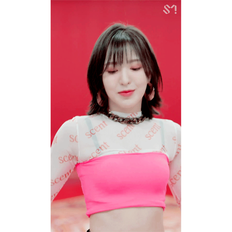 얼빡 제대로인 레드벨벳 Vertical Video.jpgif | 인스티즈