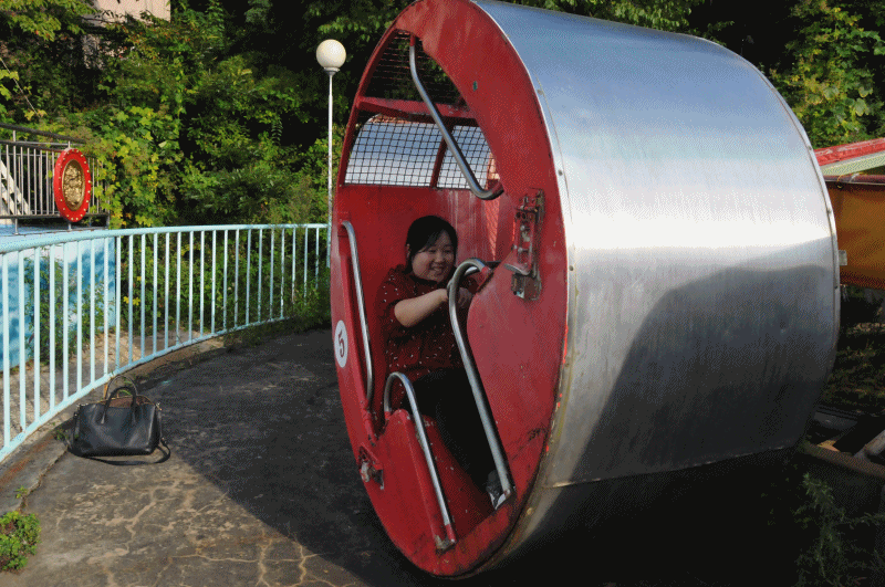 다람쥐통 레전드.gif | 인스티즈