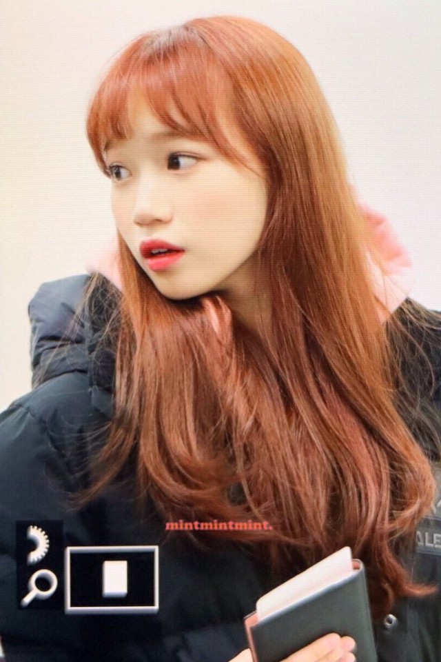 아이즈원 쌈무요정 | 인스티즈