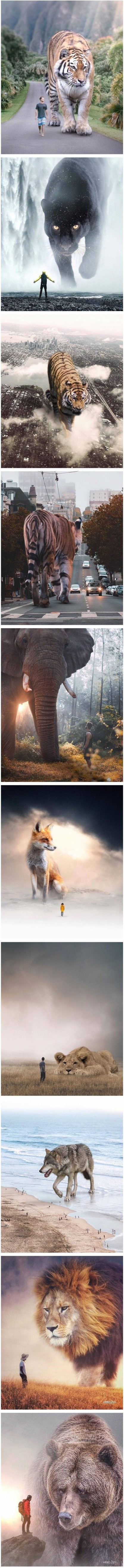 동물들이 거대해진다면.... | 인스티즈