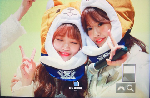 아이즈원) 시바유댕&amp;시바쌈무 | 인스티즈