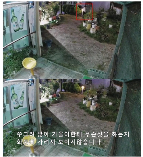 보배드림 강아지 폭행사건.jpg | 인스티즈