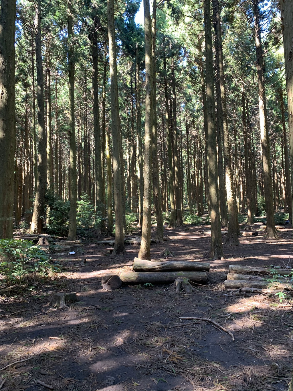 제주도 여행 마지막 날.. | 인스티즈