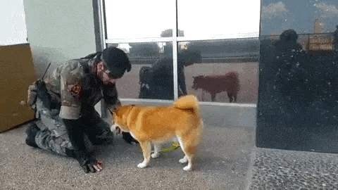 스네이크와 도그 | 인스티즈