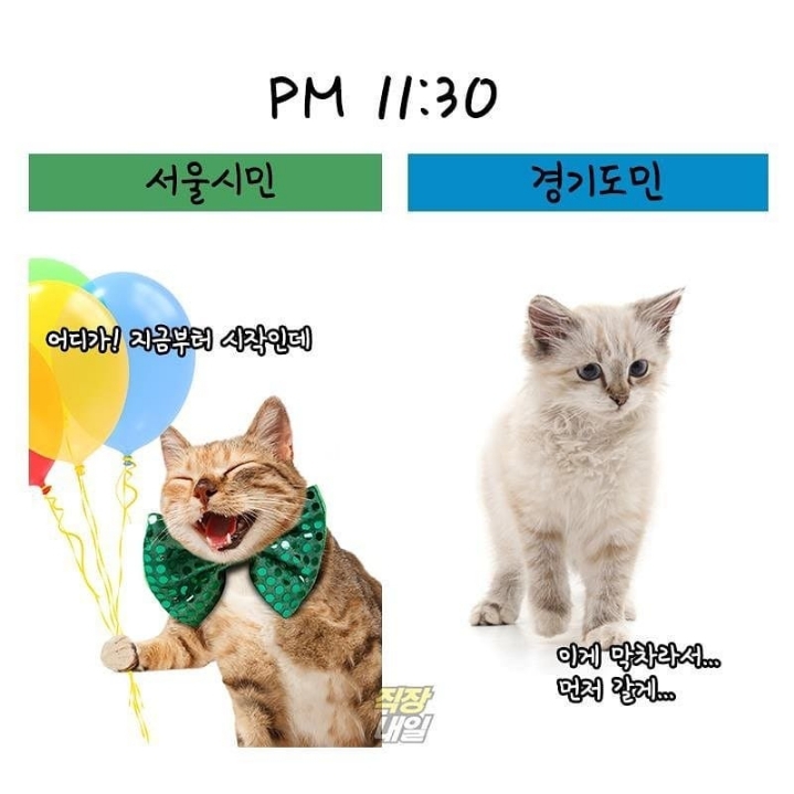 서울시민 vs 경기도민 | 인스티즈