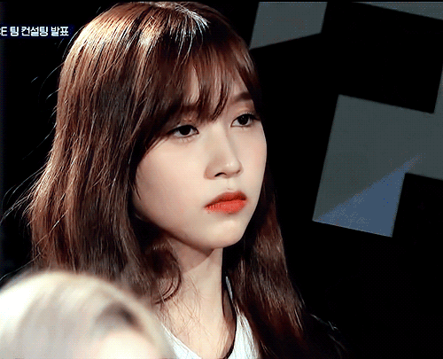 미나리 콘서트에서 2행시 ㅋㅋㅋㅋㅋㅋㅋ | 인스티즈