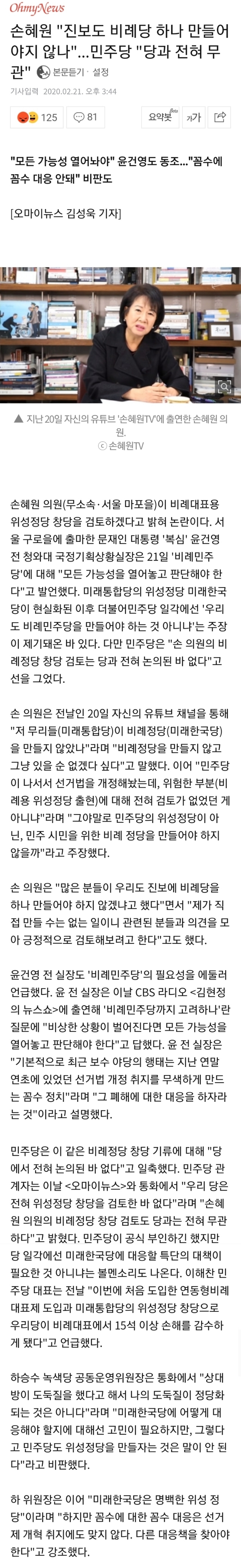 손혜원"진보도 비례당 하나 만들어야지 않나"...민주당"당과 전혀 무관" | 인스티즈