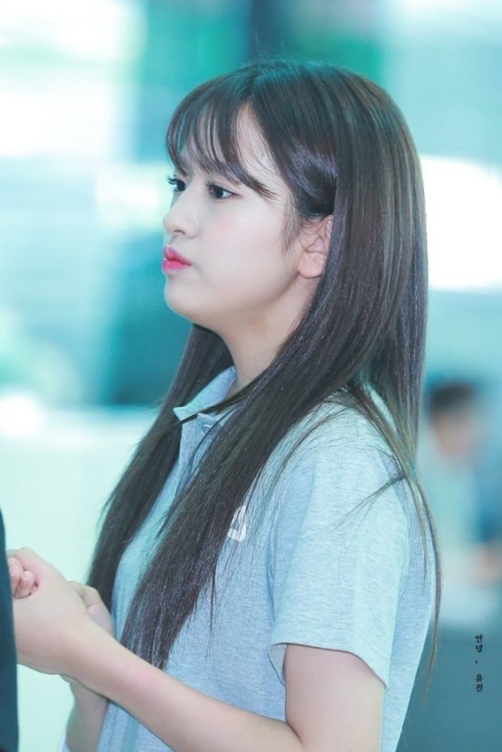 아이즈원 대형견 안댕댕.jpgif | 인스티즈