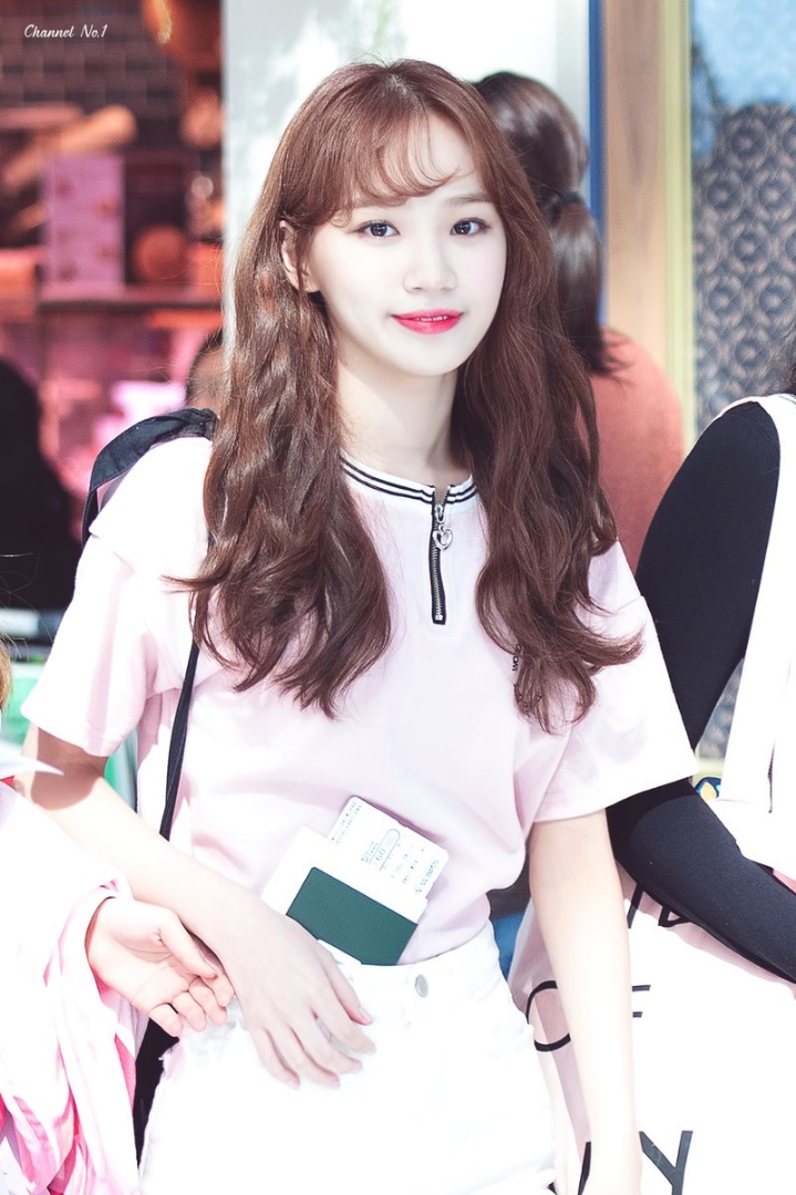 채원 이미지