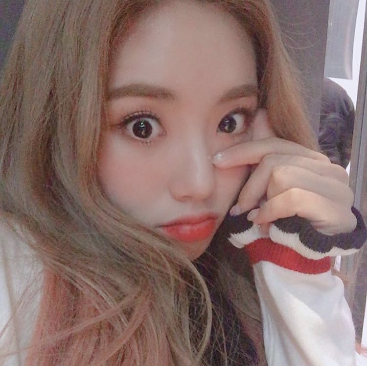 프로미스나인 서열 9위 박지원 | 인스티즈