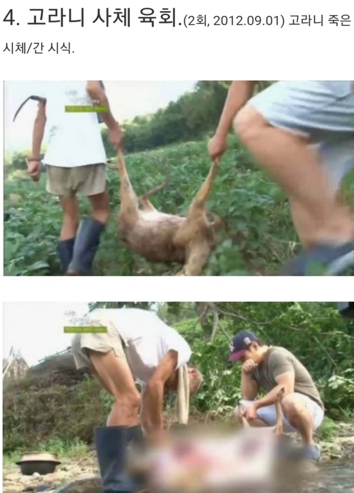 나는 자연인이다 5대 진미 | 인스티즈