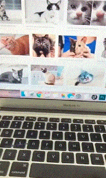 형 뭘 보는거야.gif | 인스티즈