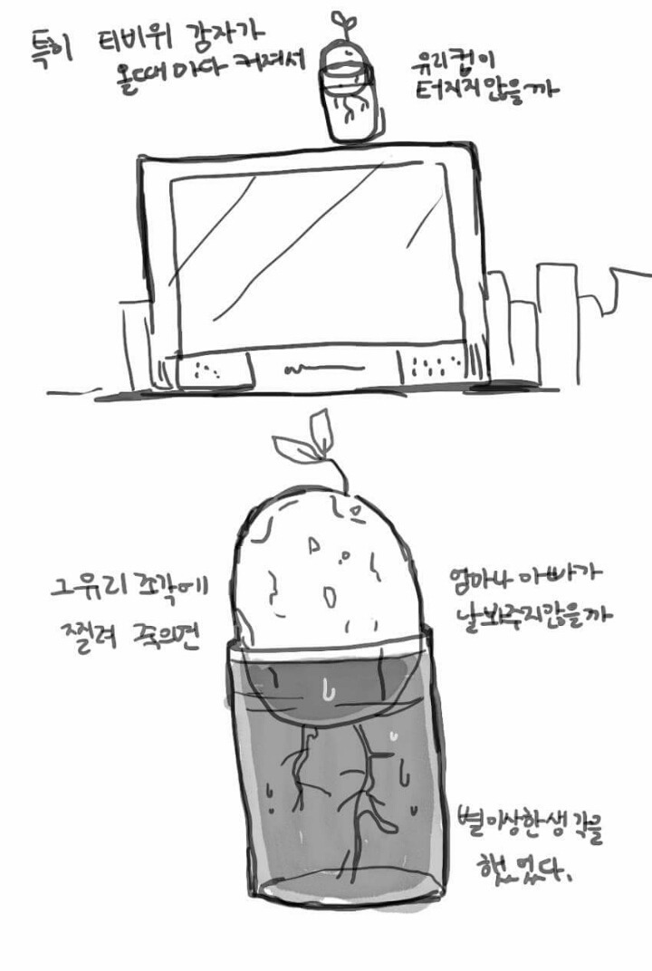 우리 엄마는 다방녀였다 | 인스티즈