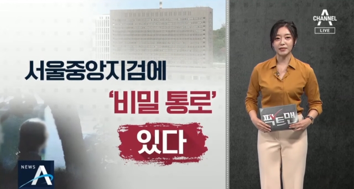 TV조선+채널A의 오늘자 曺장관 관련 보도(朴퇴진 집회와 인원비교, 젊은세대 참가 강조까지) | 인스티즈