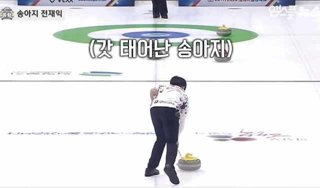 컬링 재익좌 갓 태어난 송아지 스위핑ㅋㅋㅋㅋㅋ | 인스티즈