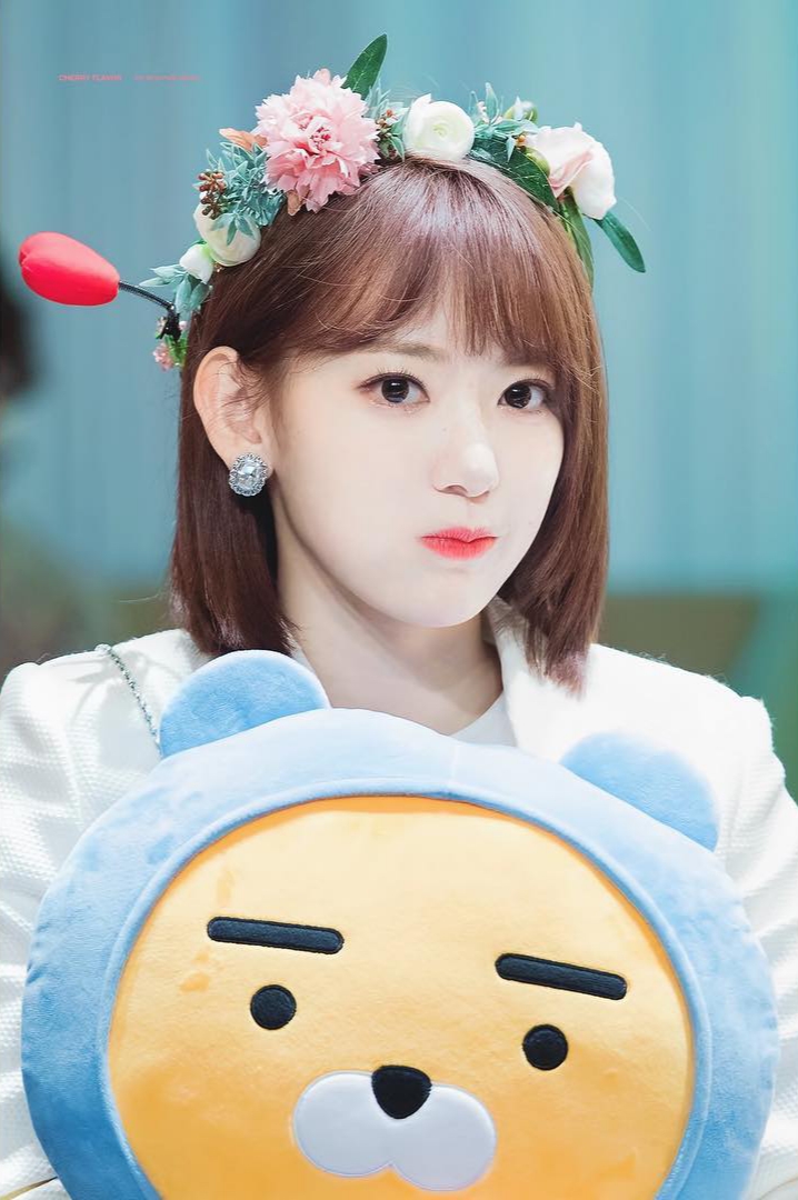 2019년 첫 미야와키 사쿠라 | 인스티즈