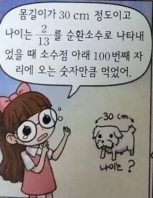 강아지에 대한 애정이 없는 주인 | 인스티즈