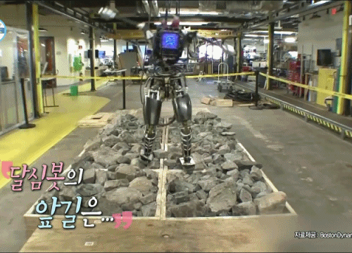 [나혼자산다] 모델 워킹만 가능한 달심봇.jpgif(19MB) | 인스티즈