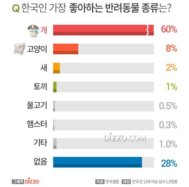 갤럽 2019년 반려동물 선호도 조사 | 인스티즈
