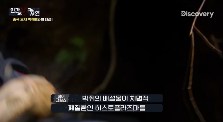 베어그릴스가 말하는 박쥐의 위험성 | 인스티즈