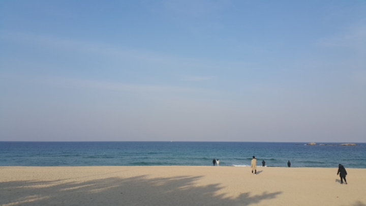 아래에 너무 멋진 사진이 있어서 저도 아무 사진 올려봄 (정말 아무 사진 주의) | 인스티즈