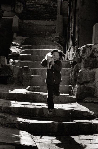 1970년대...한국의 댕댕이들....jpg | 인스티즈