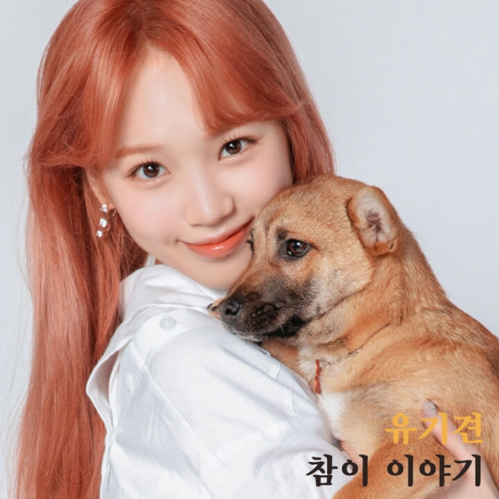 아이즈원 김채원&amp;유기견 참이 | 인스티즈