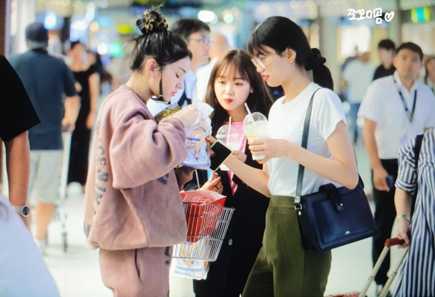 [IOI] 태국공항에서 만난 솜도댕 | 인스티즈