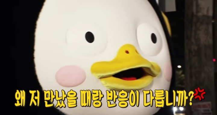  펭수 짤 모음 | 인스티즈