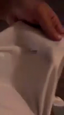 90％ 이상은 공감 못하는 짤.gif | 인스티즈