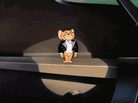 강아지가 강할까요? 고양이가 더 강할까요? | 인스티즈