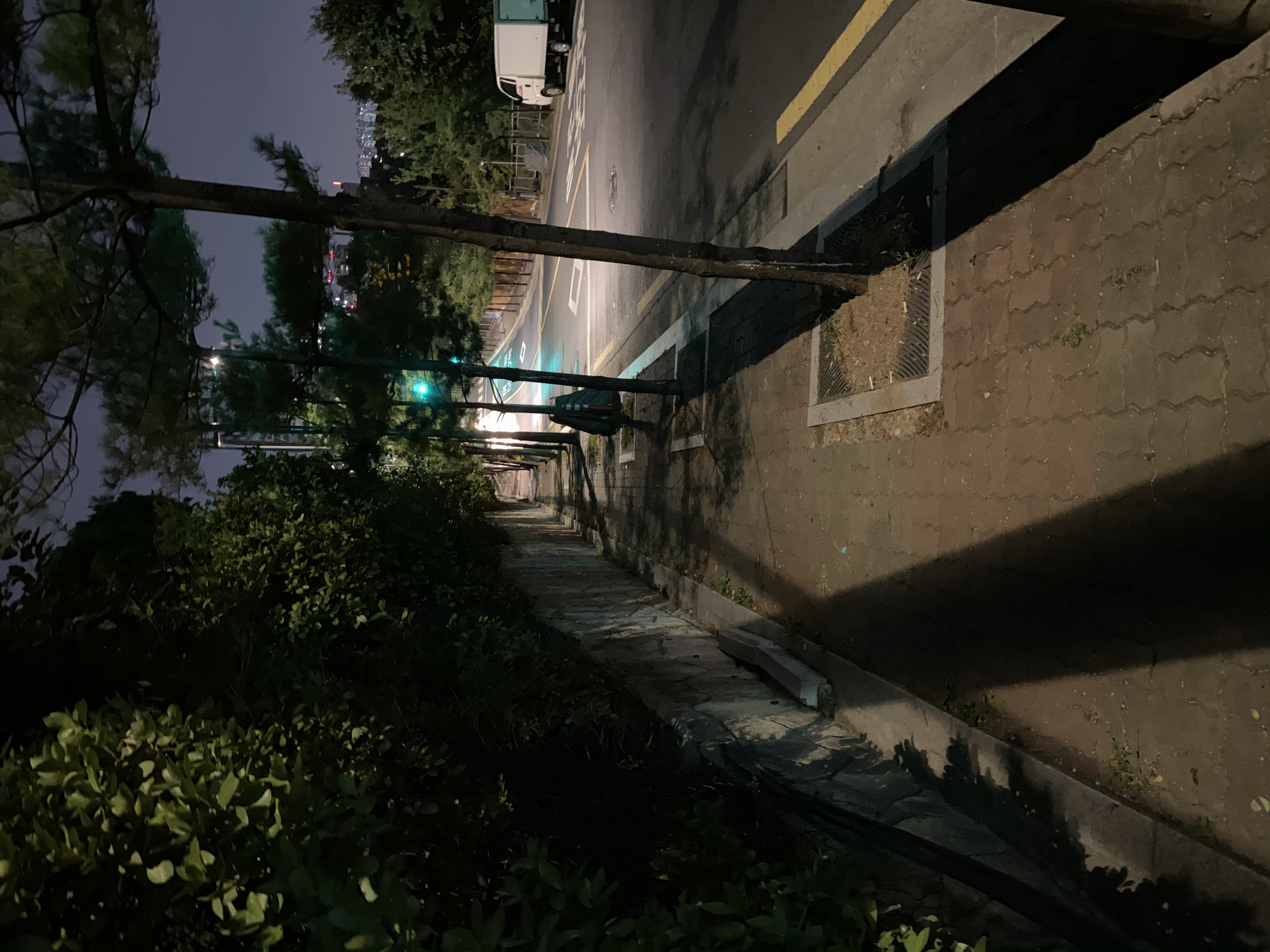 아이폰 11 나이트모드샷 | 인스티즈