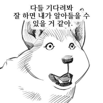 댕댕이랑 인간이랑 사실 같은 종족인 이유 ㄷ ㄷ | 인스티즈