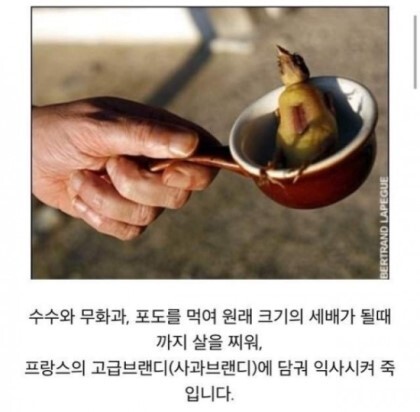 신이 모르게 몰래 먹는 프랑스 요리 '오르톨랑' | 인스티즈