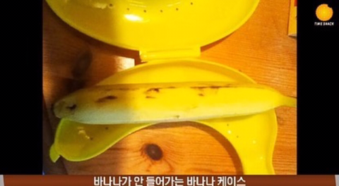 뭔가 조금씩 이상한 것들.jpg | 인스티즈