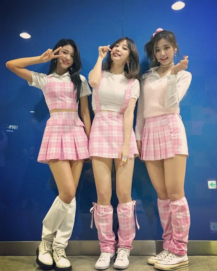 하니 없이 돌아올 하설쯔 | 인스티즈